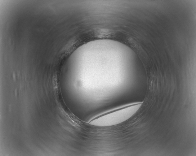 X0000059050620200510070853