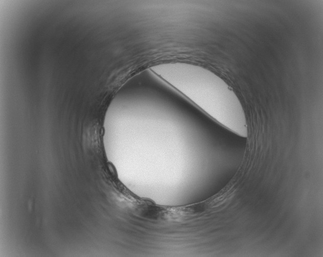 X0000059050623200510070853