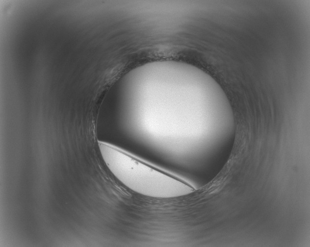 X0000059050624200510070853