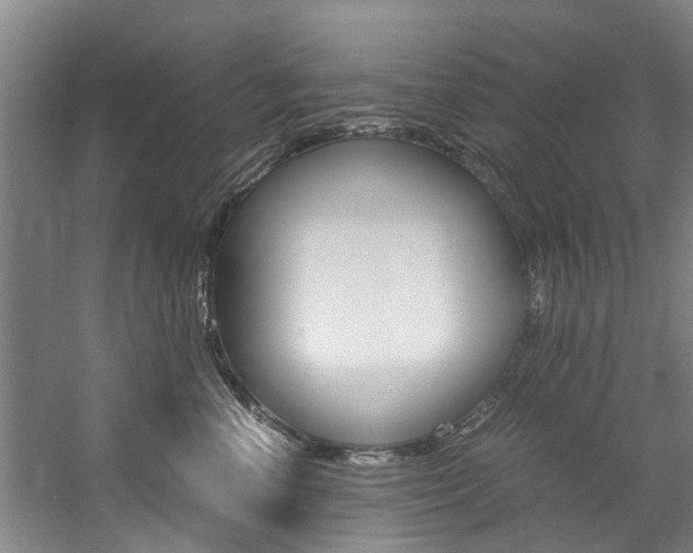 X0000059050666200510070853