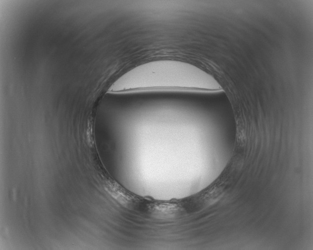 X0000059050669200510070853