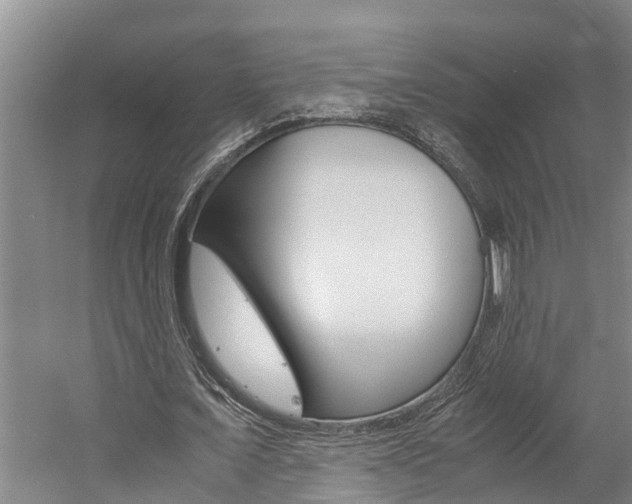 X0000059050675200510070852