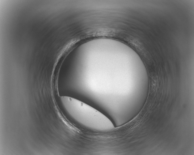X0000059050678200510070852