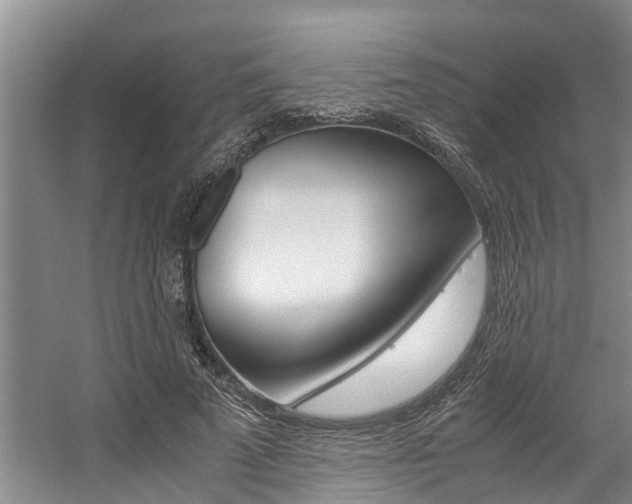 X0000059050689200510070852