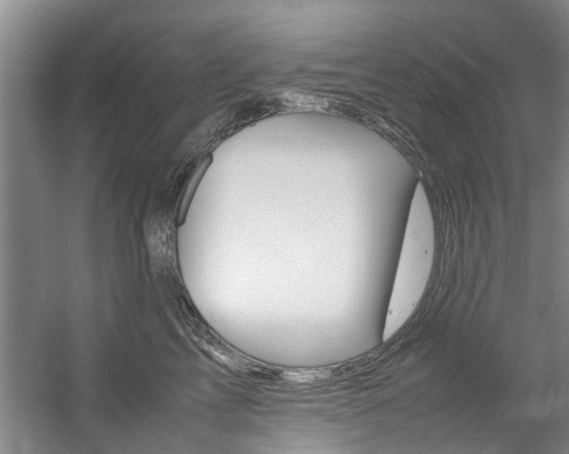 X0000059050713200510070851