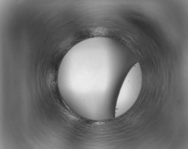 X0000059050714200510070851
