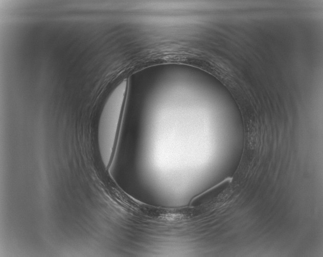 X0000059050748200510070851