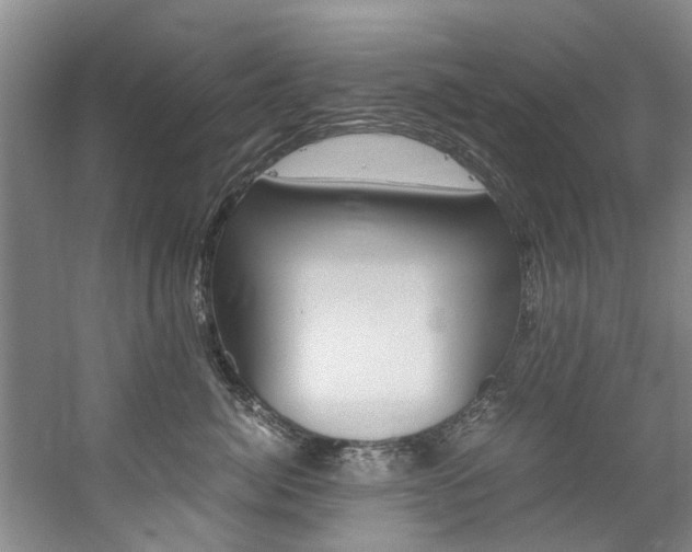 X0000059050764200510070851