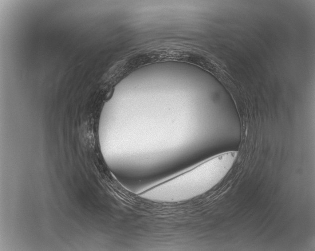 X0000059050771200510070850