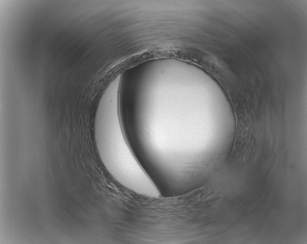 X0000059050773200510070850