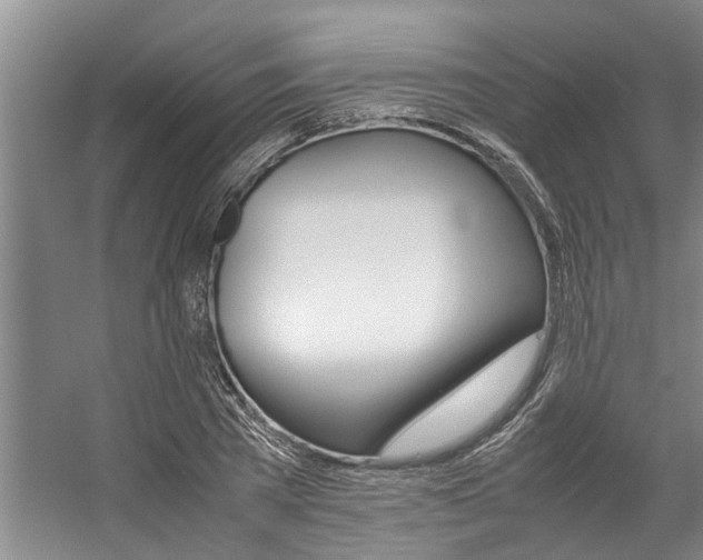 X0000059050785200510070850