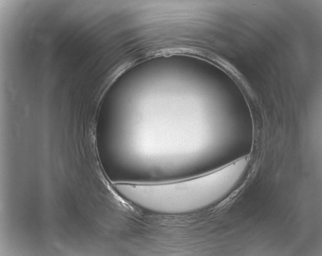 X0000059050809200510070850