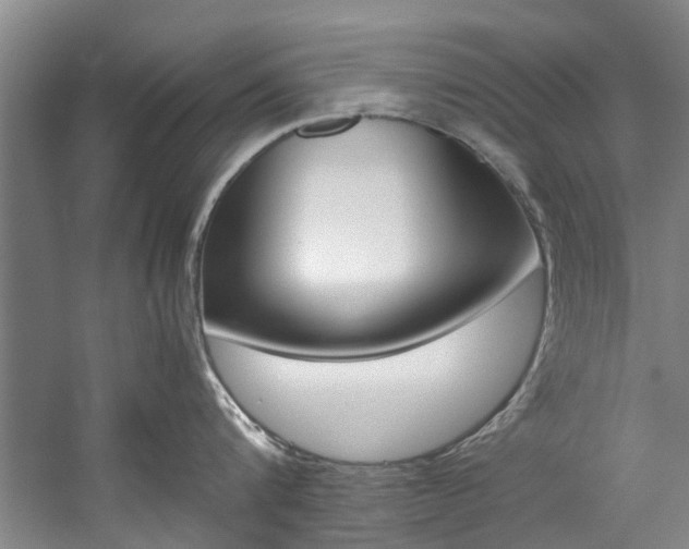 X0000059050816200510070850