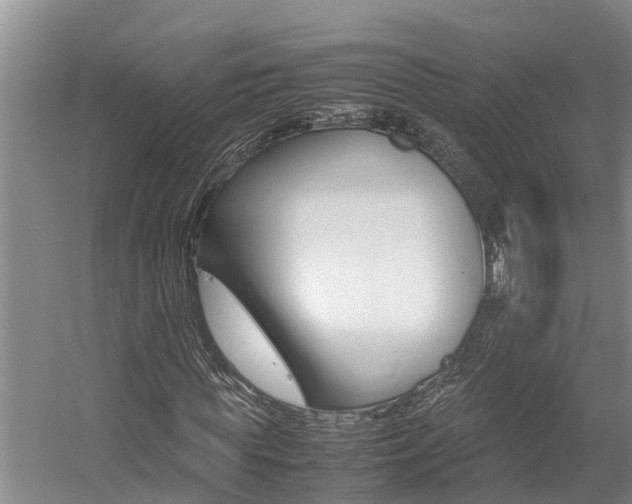 X0000059050819200510070849