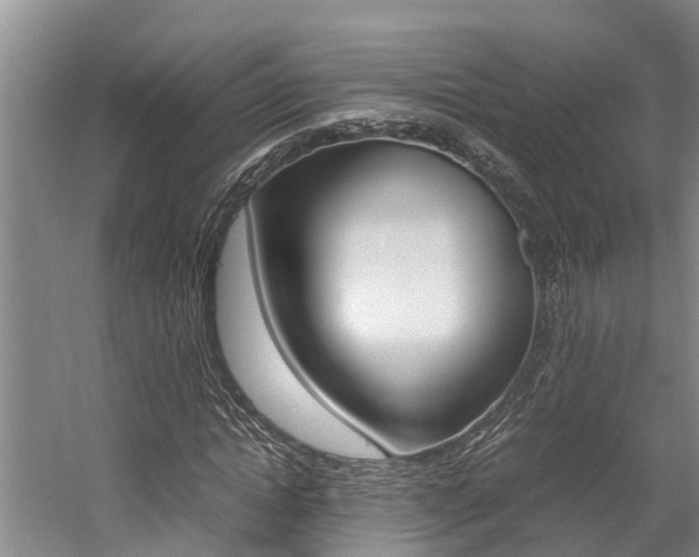 X0000059050822200510070849