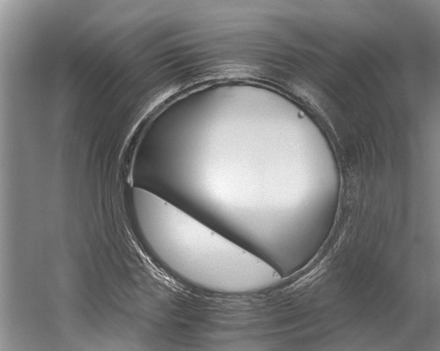 X0000059050827200510070849