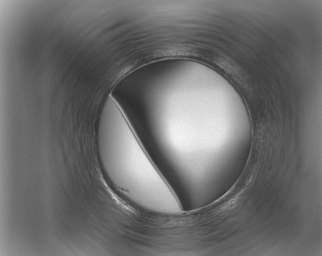 X0000059050841200510070849