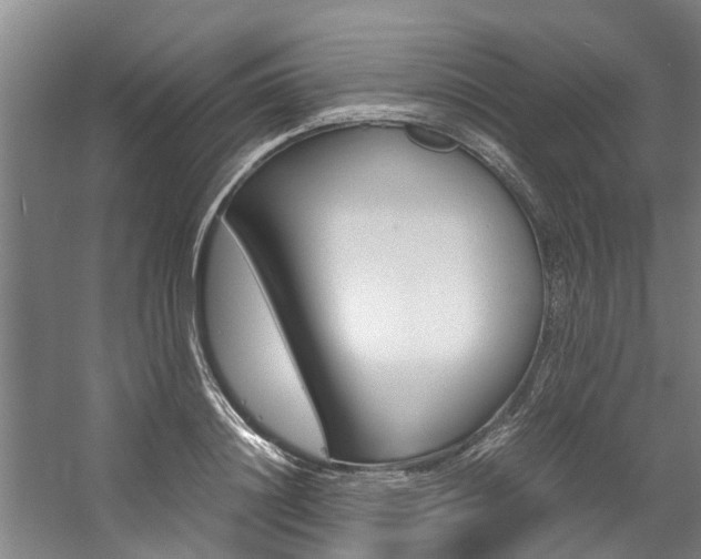 X0000059050844200510070849