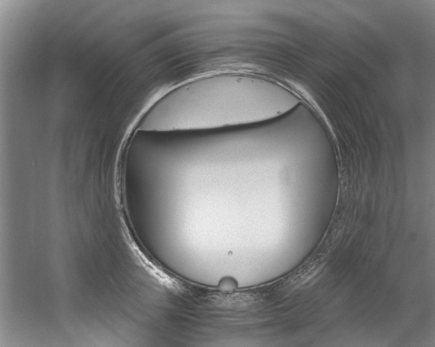 X0000059050851200510070849
