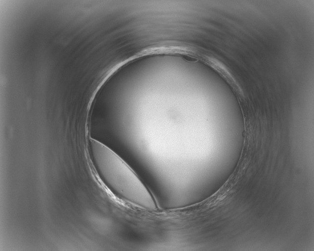 X0000059050852200510070849