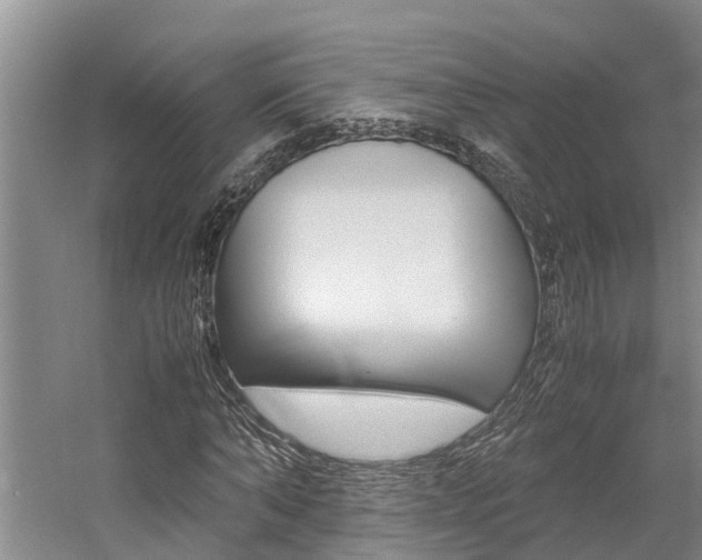X0000059050870200510070849