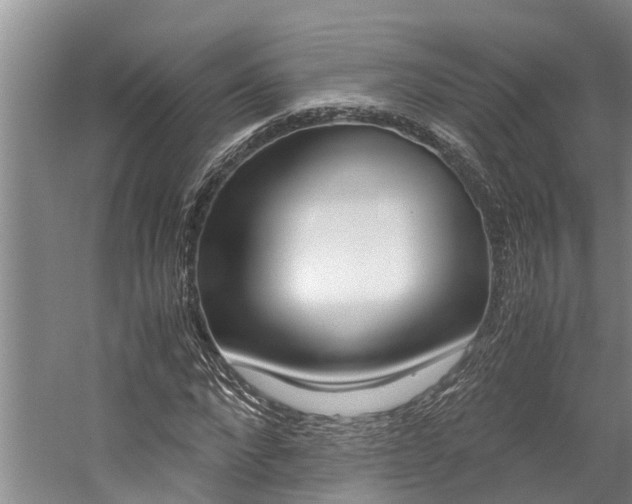 X0000059050872200510070849