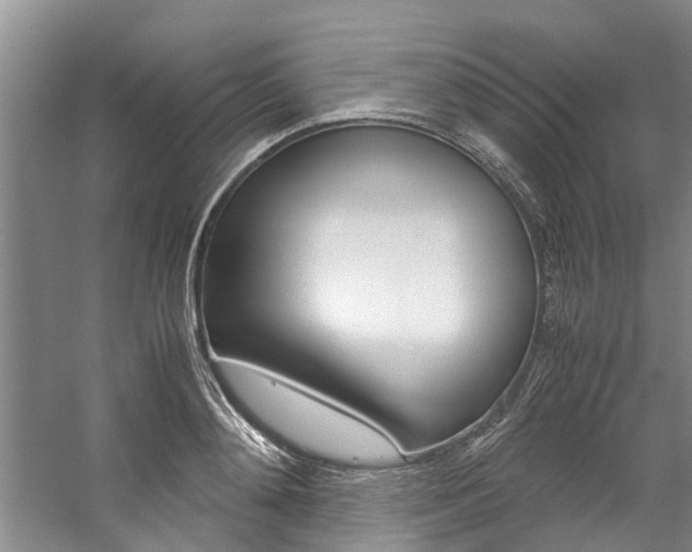 X0000059050892200510070848