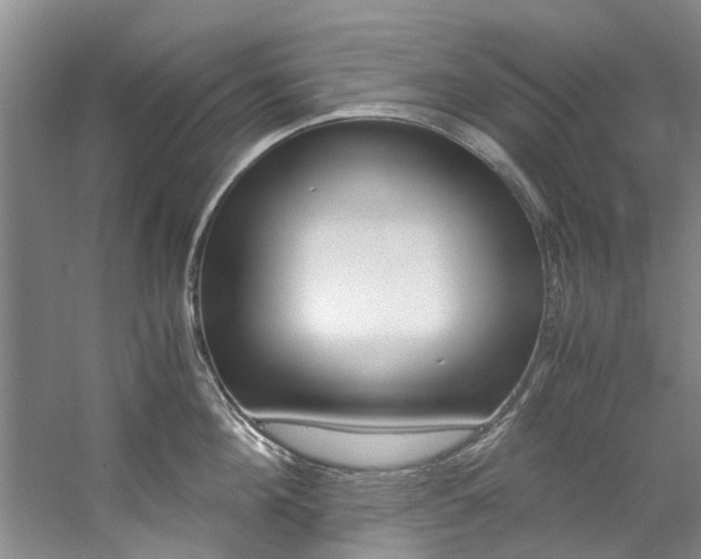 X0000059050908200510070848