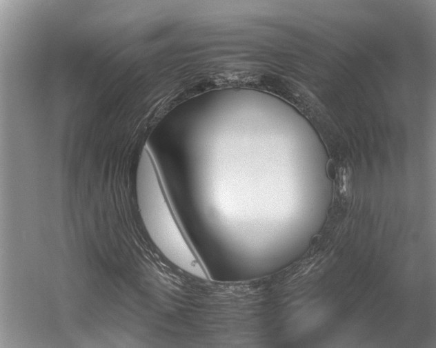 X0000059050915200510070847