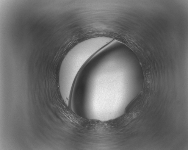 X0000059050916200510070847