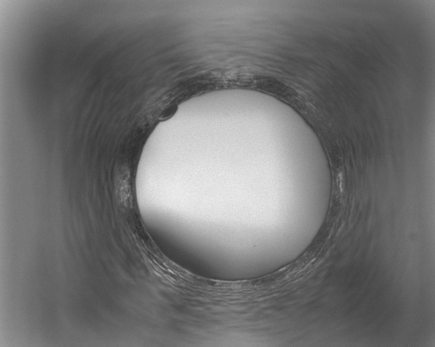 X0000059050963200510070847