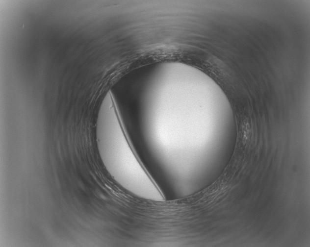 X0000059050964200510070847