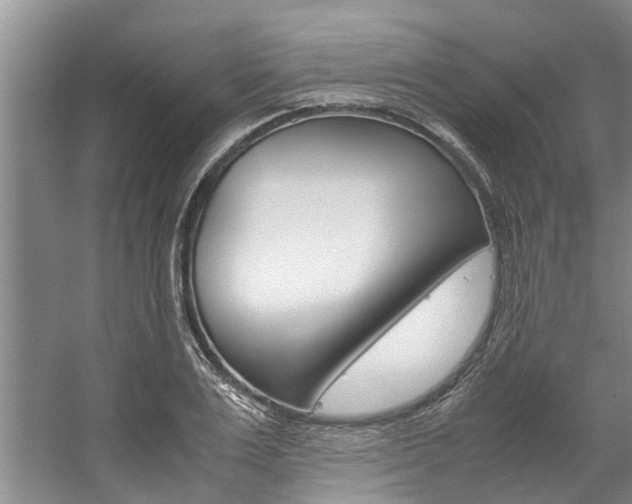 X0000059050983200510070846