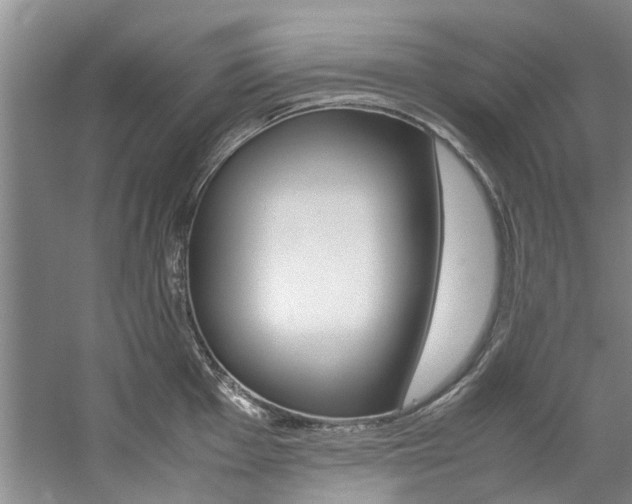 X0000059051001200510070846