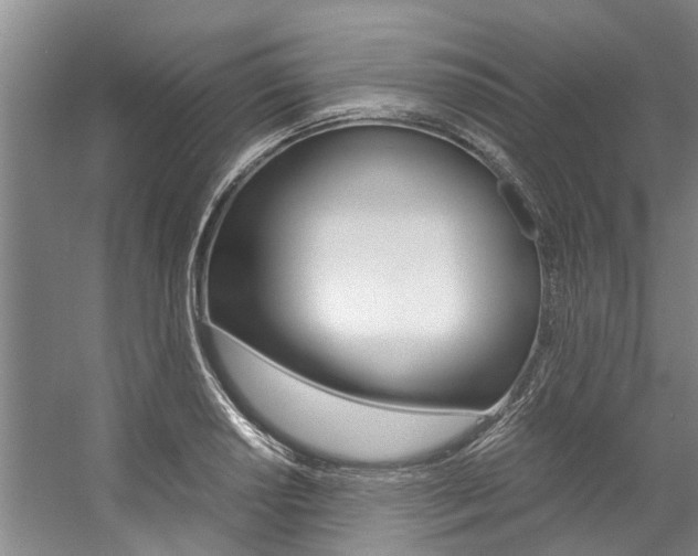 X0000059051034200510070846
