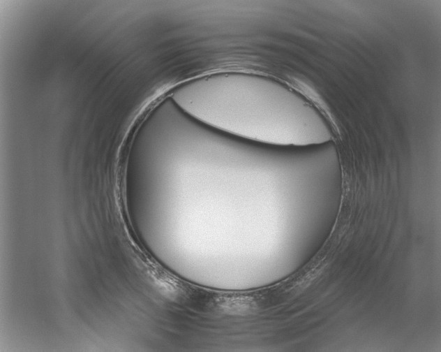 X0000059051043200510070846