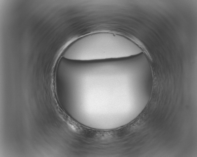 X0000059051051200510070846