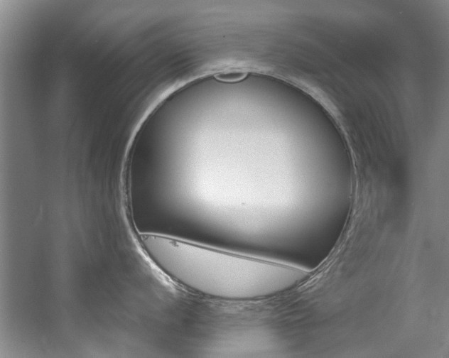 X0000059051056200510070846