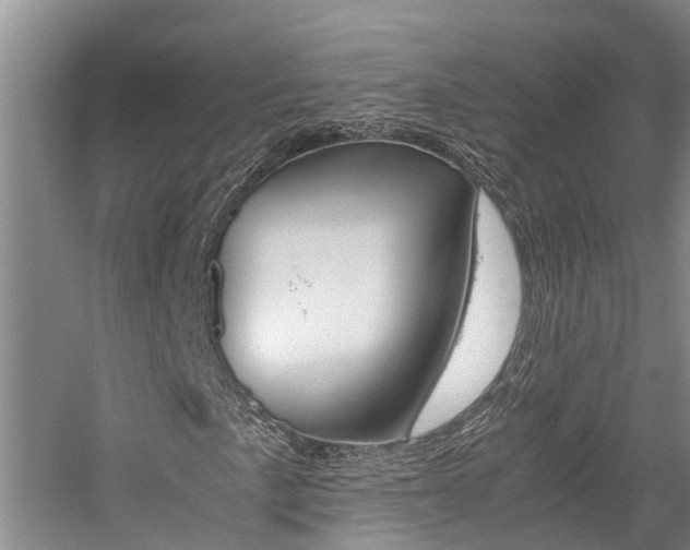 X0000059051057200510070845