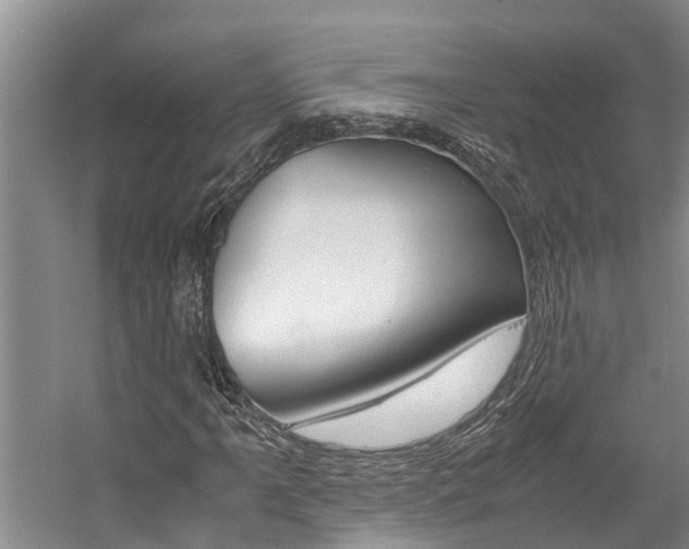 X0000059051061200510070845