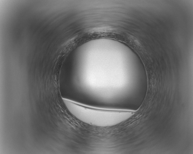 X0000059051062200510070845