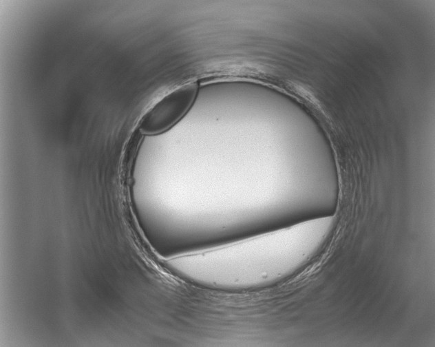 X0000059051071200510070845