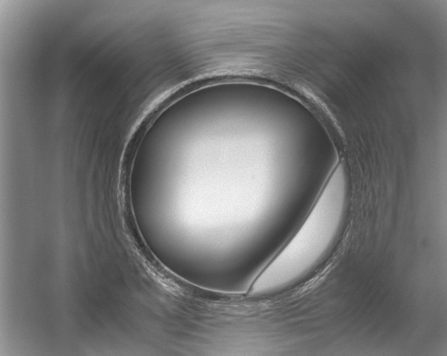 X0000059051077200510070845