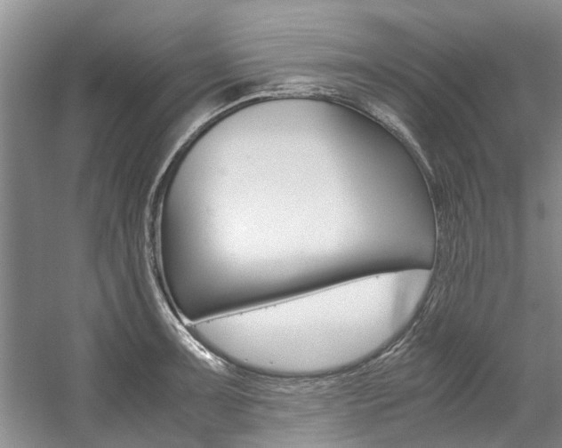 X0000059051091200510070845