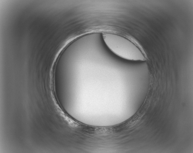 X0000059051099200510070845