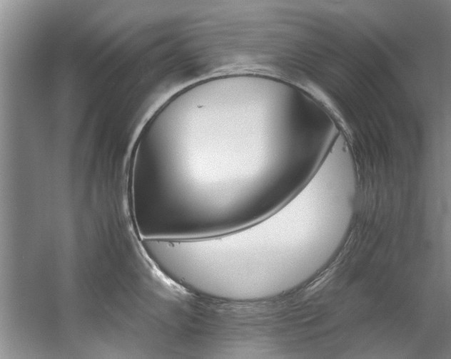 X0000059051102200510070844
