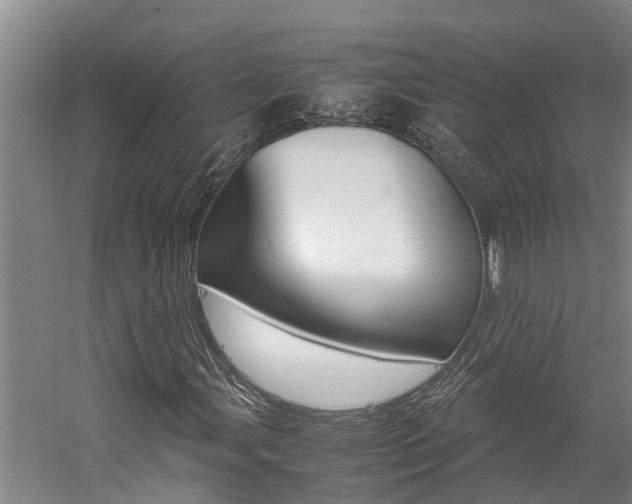 X0000059051107200510070844