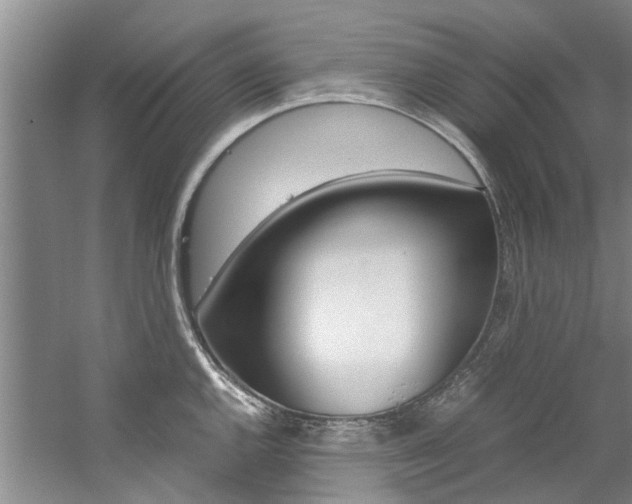 X0000059051144200510070844