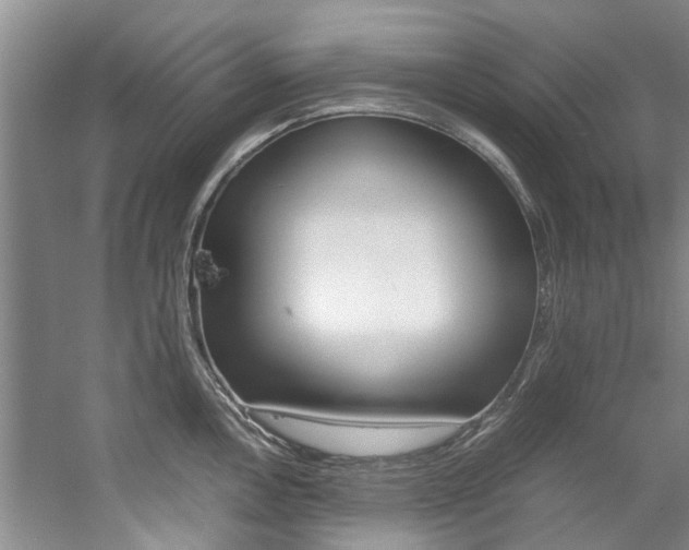 X0000059051146200510070844