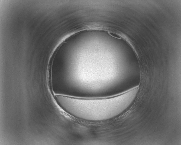 X0000059051147200510070844